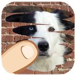 Dog breeds, one is hiden