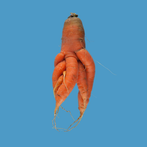 Quirky Carrots