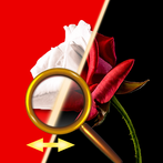 Find The Differences