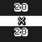 20x20