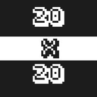 20x20