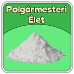 Polgármesteri Élet