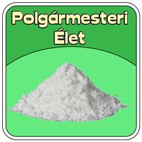 Polgármesteri Élet