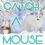 Catch-A-Mouse