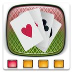 Video Poker Assistant