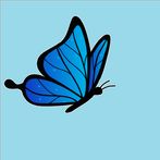 Blue butterfly
