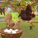 Angry Hen Fighting Simulator