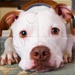 Super Jigsaw Puzzle World of D