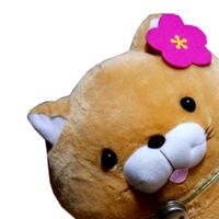 Paulok La Grande Aventure Y.