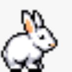 Bunny Survivor