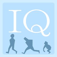 IQ Run