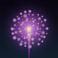 Fireworks Simulator