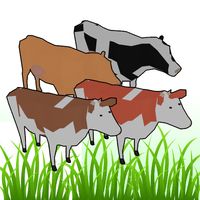 Modern Cow Milking Factory