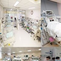 기본간호학 심화퀴즈 100