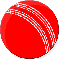 Cricket Quiz