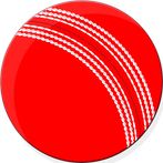 Cricket Quiz