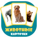 Карточки: животные