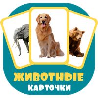 Карточки: животные