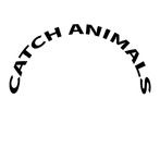 Catch Animals