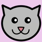 Kitty Meow Tapping