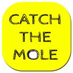 Catch The Mole