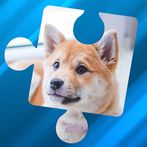 Pet World Puzzle : Animal Cros