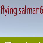 flyingsalmanbestgameforall