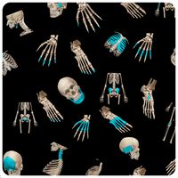 Quiz anatomia fácil 2.0