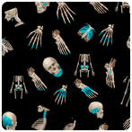 Quiz anatomia fácil 2.0