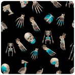 Quiz anatomia fácil 2.0