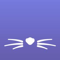 Animal Quiz