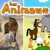 Les Animaux