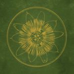 Pocket Oasis - Mobile