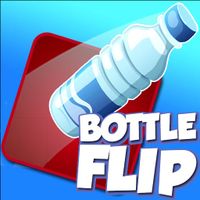 Flip Bottle Game