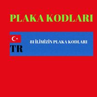 PLAKA KODLARI