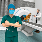 Animal Games Animal Hospital