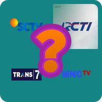 TV digital Indonesia