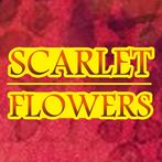 Scarlet flowers: leaves violet