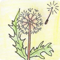 Educational Games 4 Kids