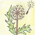 Educational Games 4 Kids