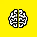 Brain Memory