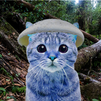 Smerfcat blue: we live we love