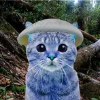 Smerfcat blue: we live we love