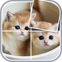 Jigsaw Puzzles - Rotate Puzzle