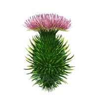 Di & Ed - Climate Adventure