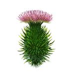 Di & Ed - Climate Adventure