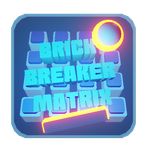 brick breaker matrix : winter