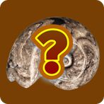 Geology Quiz