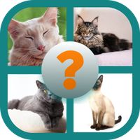 CATS QUIZ