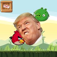 Angry Passerine Edit